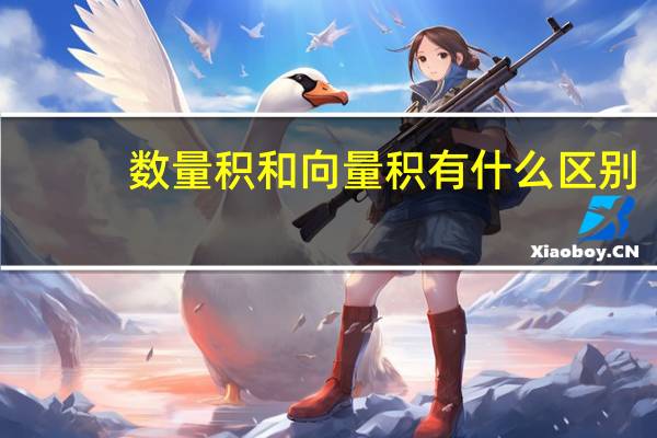 数量积和向量积有什么区别