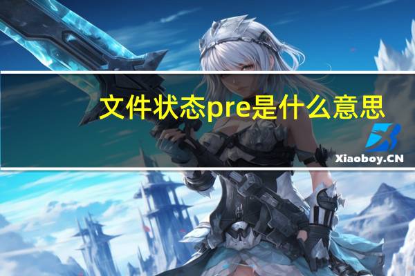 文件状态pre是什么意思