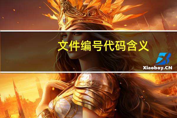 文件编号代码含义