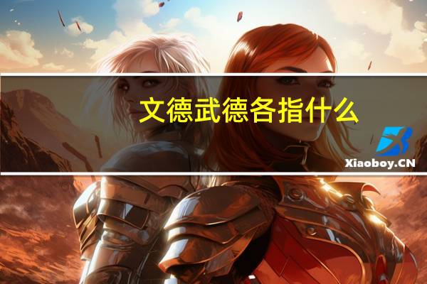 文德武德各指什么
