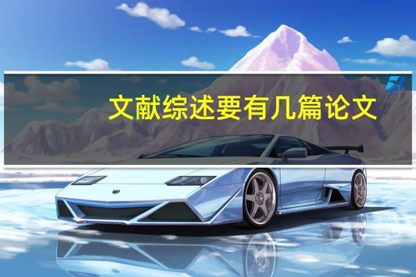 文献综述要有几篇论文