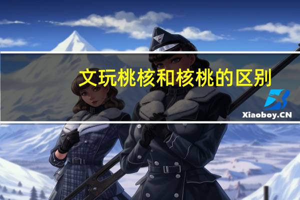 文玩桃核和核桃的区别