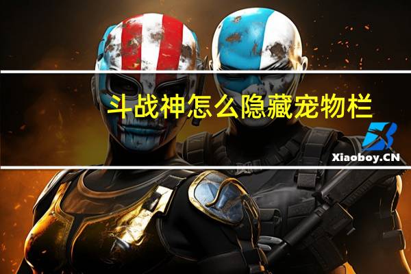斗战神怎么隐藏宠物栏