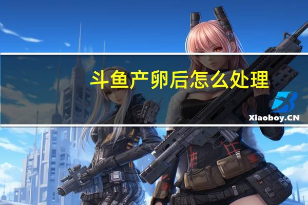 斗鱼产卵后怎么处理