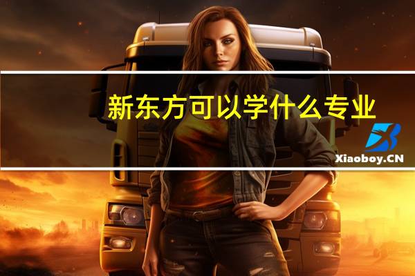 新东方可以学什么专业