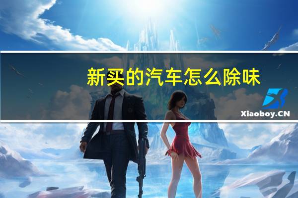 新买的汽车怎么除味