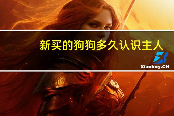 新买的狗狗多久认识主人