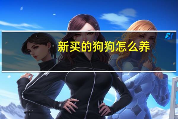 新买的狗狗怎么养