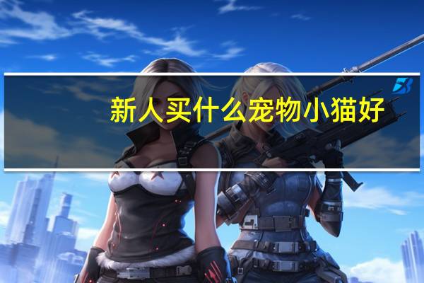 新人买什么宠物小猫好