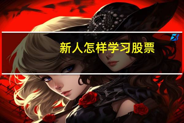 新人怎样学习股票