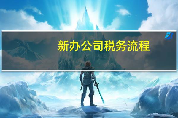 新办公司税务流程