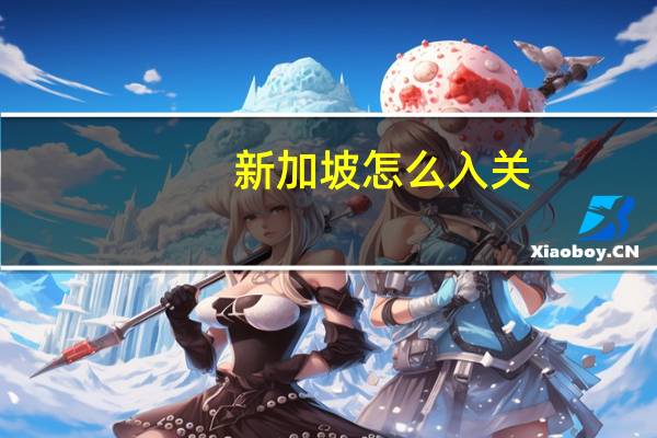 新加坡怎么入关