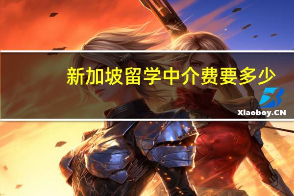 新加坡留学中介费要多少