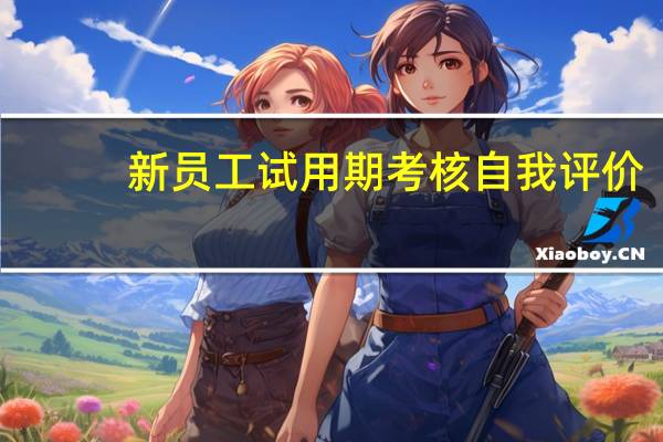 新员工试用期考核自我评价