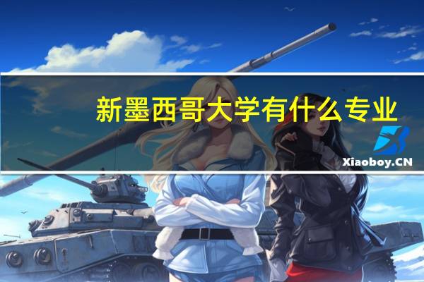 新墨西哥大学有什么专业