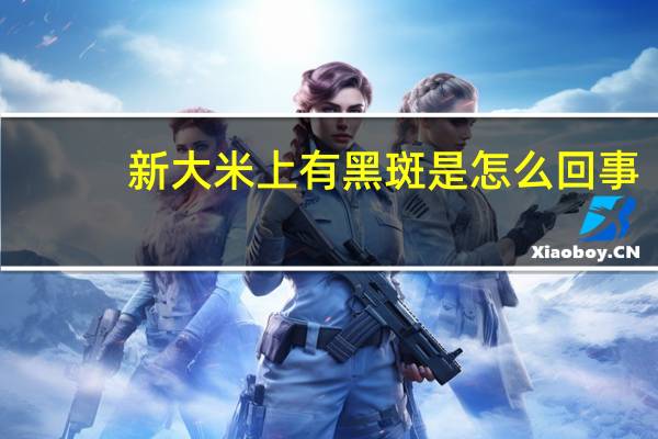 新大米上有黑斑是怎么回事