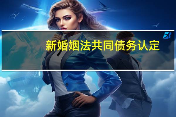 新婚姻法共同债务认定