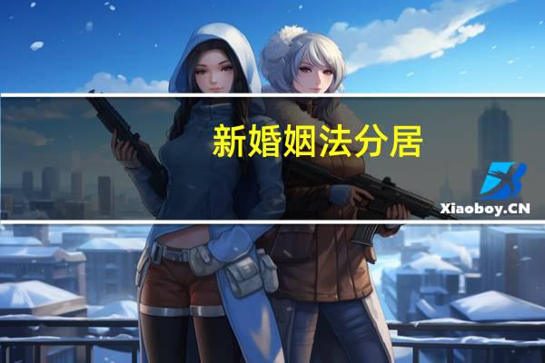 新婚姻法分居