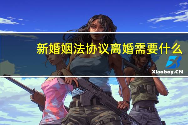新婚姻法协议离婚需要什么