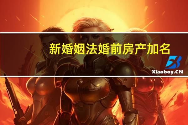 新婚姻法婚前房产加名