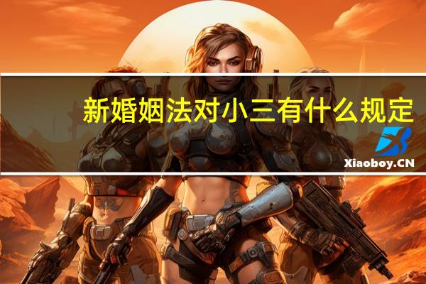 新婚姻法对小三有什么规定