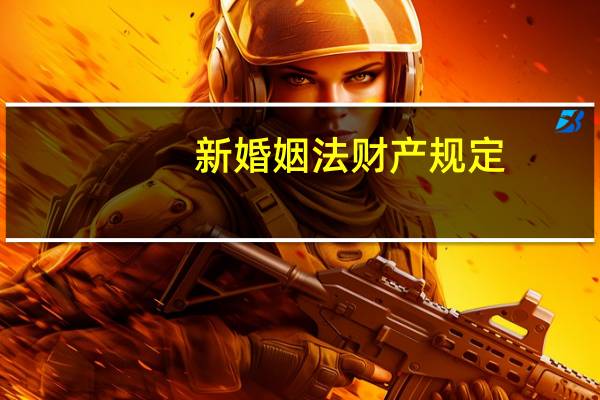 新婚姻法财产规定