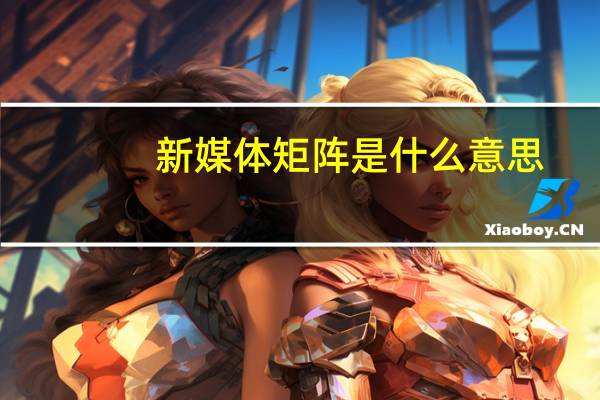 新媒体矩阵是什么意思