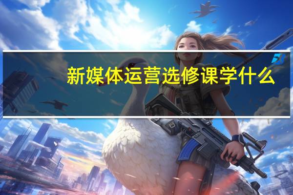 新媒体运营选修课学什么