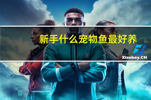 新手什么宠物鱼最好养