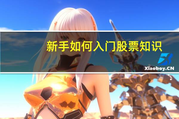 新手如何入门股票知识