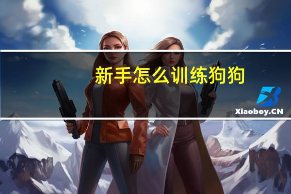 新手怎么训练狗狗