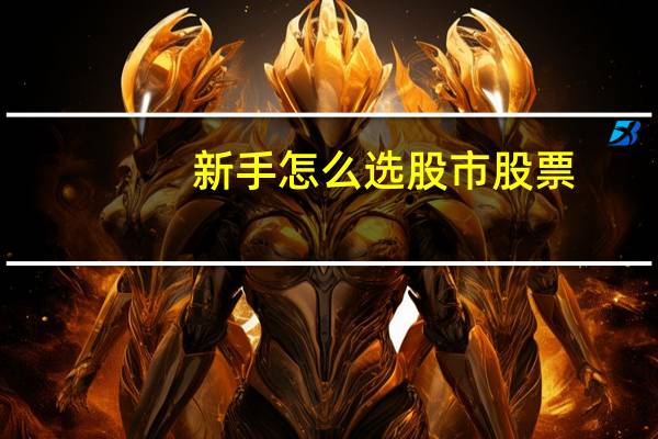 新手怎么选股市股票
