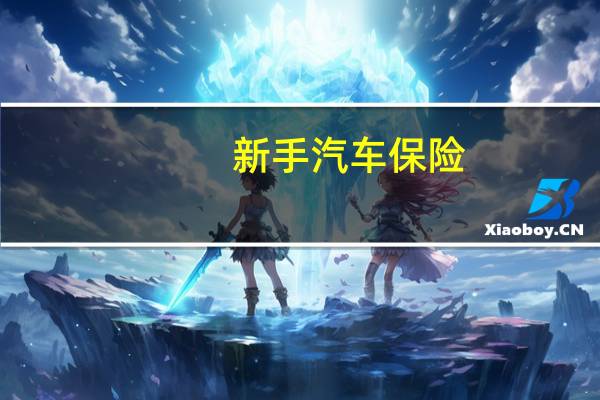 新手汽车保险