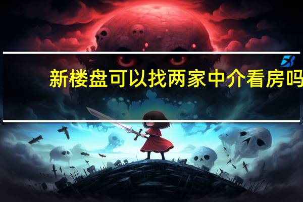 新楼盘可以找两家中介看房吗