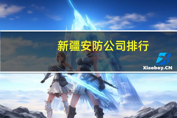 新疆安防公司排行