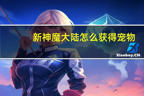 新神魔大陆怎么获得宠物