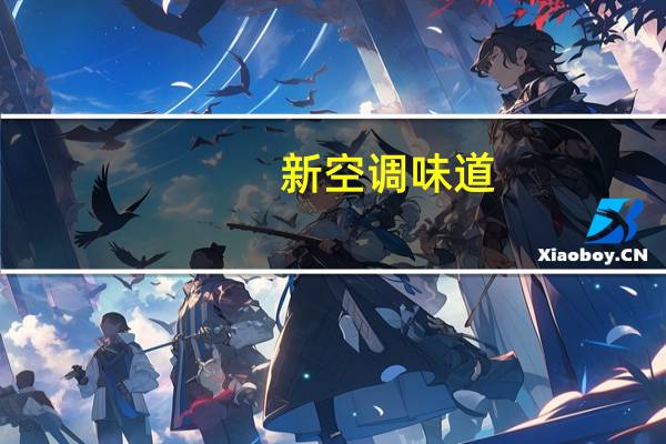 新空调味道