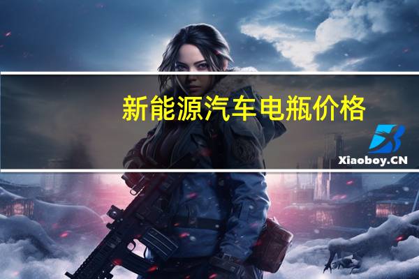 新能源汽车电瓶价格