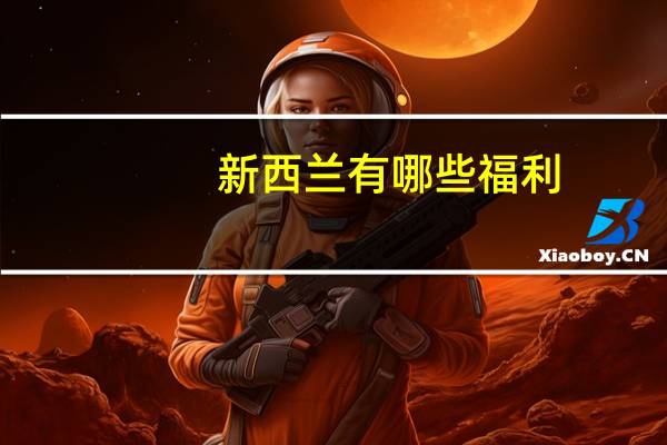 新西兰有哪些福利