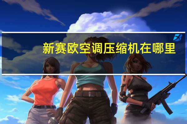 新赛欧空调压缩机在哪里