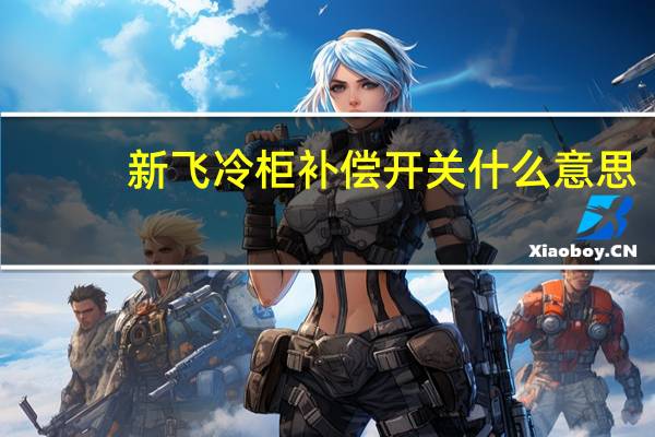 新飞冷柜补偿开关什么意思
