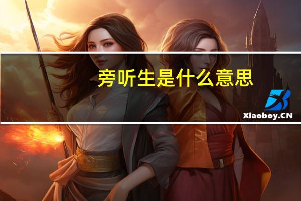 旁听生是什么意思