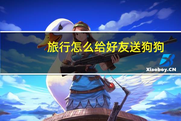 旅行怎么给好友送狗狗