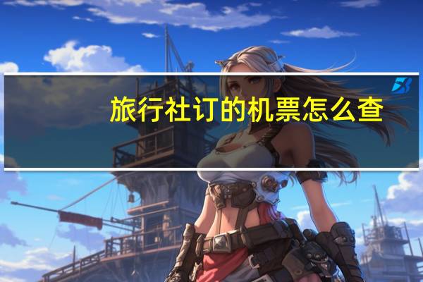 旅行社订的机票怎么查