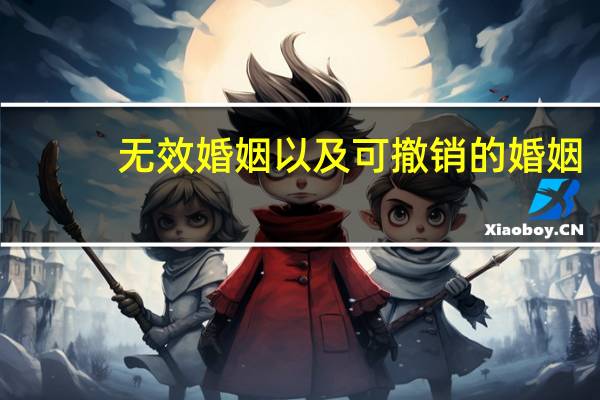 无效婚姻以及可撤销的婚姻