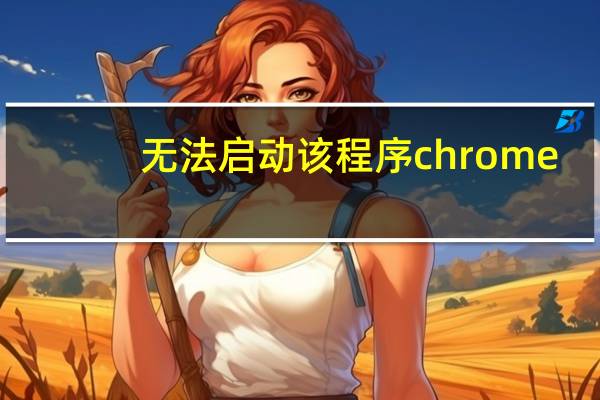 无法启动该程序chrome