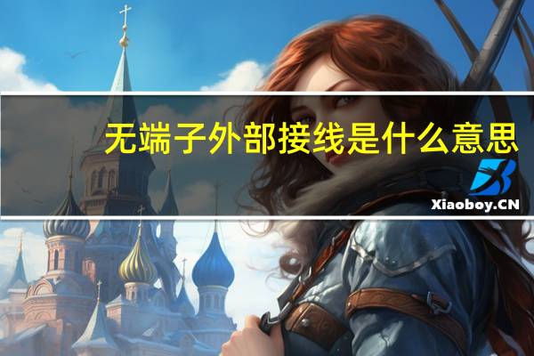 无端子外部接线是什么意思