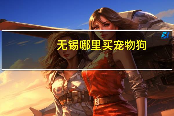 无锡哪里买宠物狗