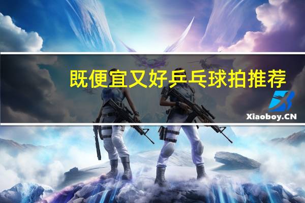 既便宜又好乒乓球拍推荐