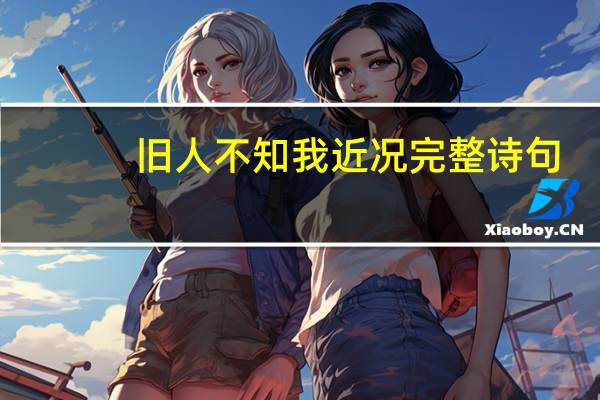 旧人不知我近况完整诗句